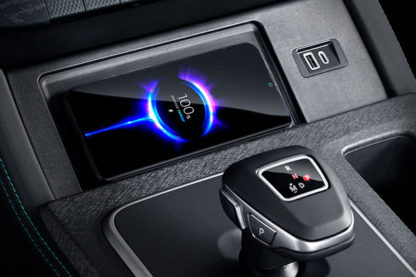 grandlion-zxauto_int-2 (1)